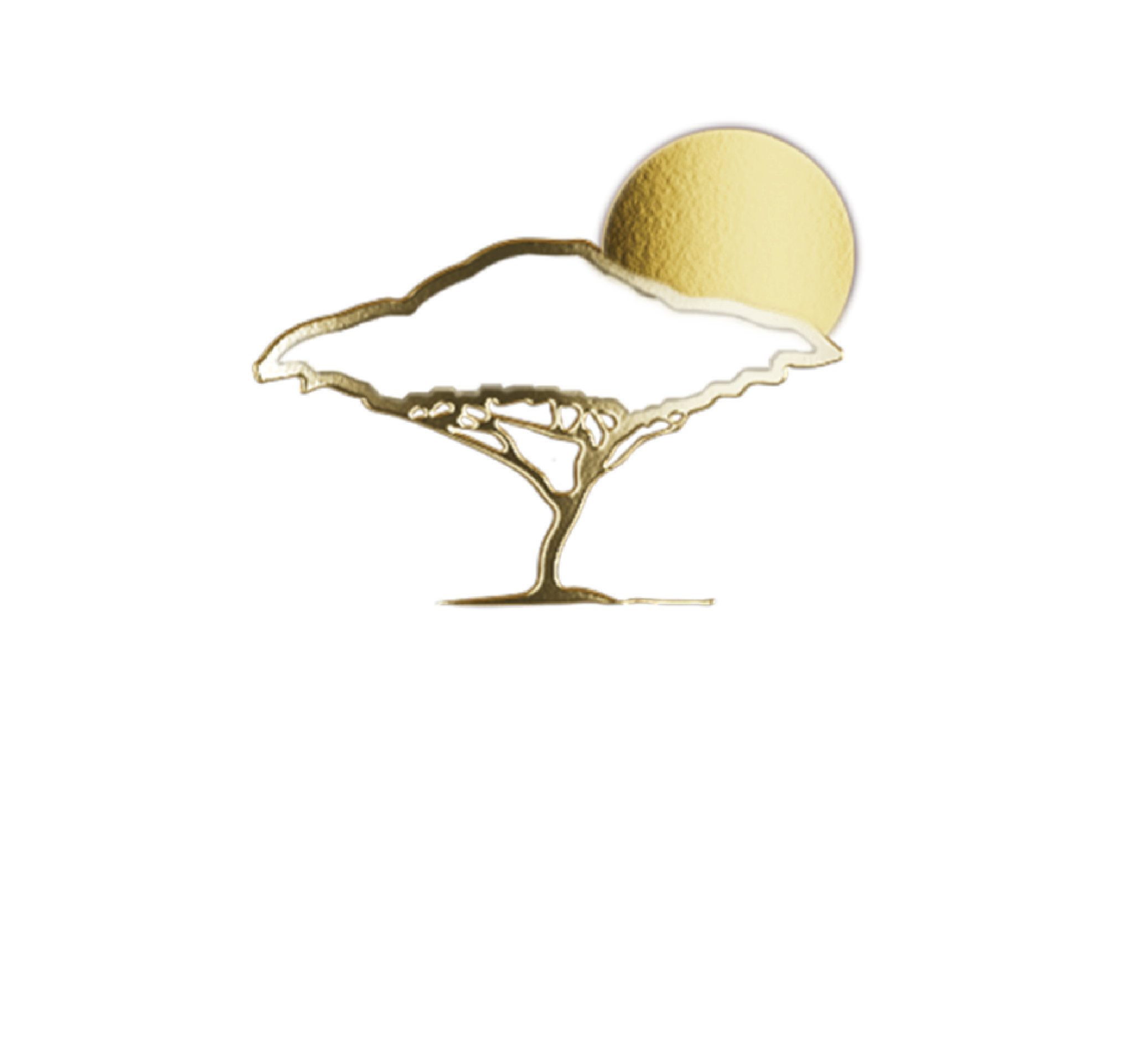 Castel Winery Logo